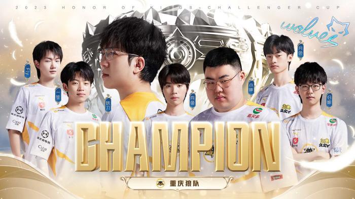 对结果的直 对结果的直